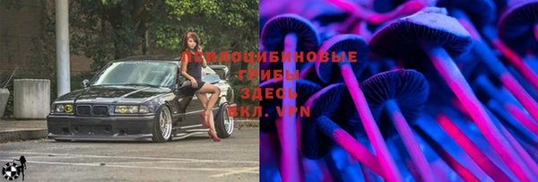 дмт Алексин