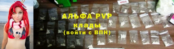 сатива Алзамай