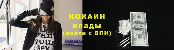 дмт Алексин