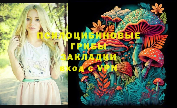 дмт Алексин