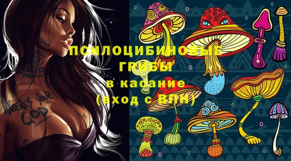 дмт Алексин