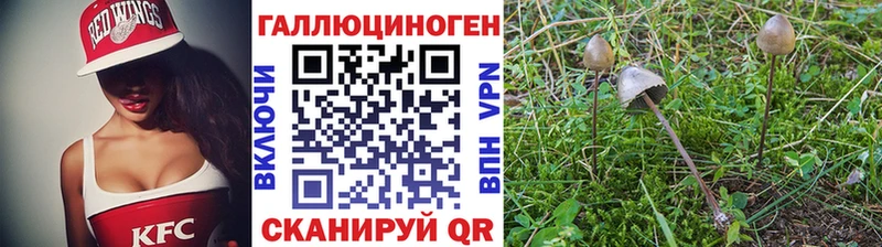 Галлюциногенные грибы прущие грибы  Купить  Муравленко 